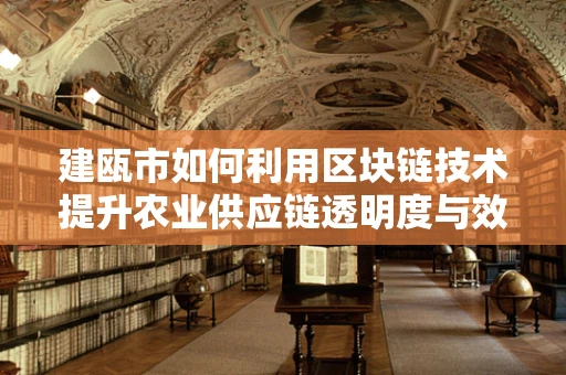 建瓯市如何利用区块链技术提升农业供应链透明度与效率？