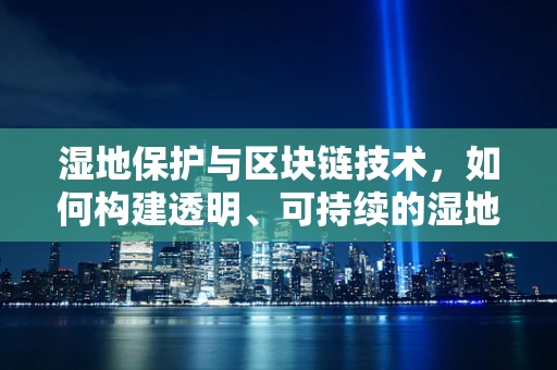 湿地保护与区块链技术，如何构建透明、可持续的湿地管理新模式？