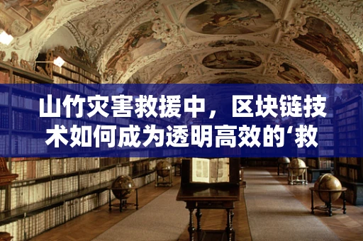 山竹灾害救援中，区块链技术如何成为透明高效的‘救援链’？