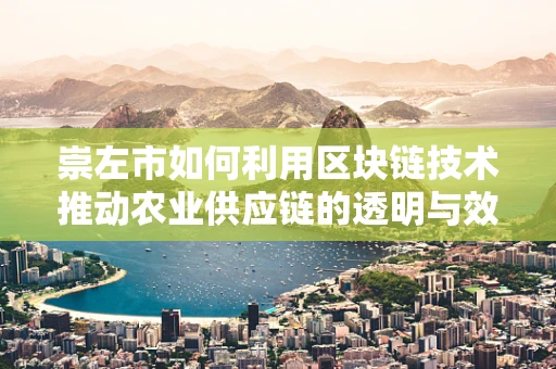 崇左市如何利用区块链技术推动农业供应链的透明与效率？