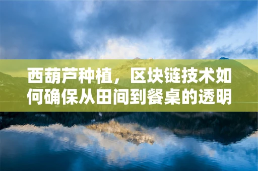 西葫芦种植，区块链技术如何确保从田间到餐桌的透明与安全？