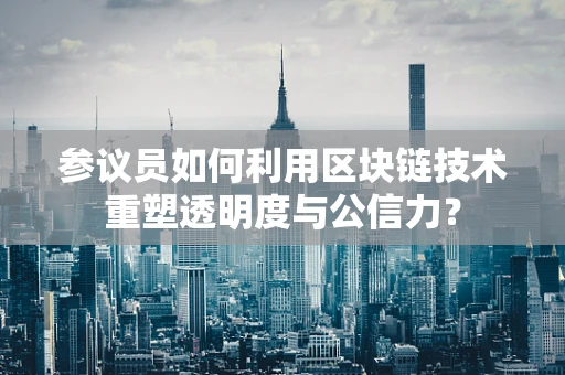 参议员如何利用区块链技术重塑透明度与公信力？