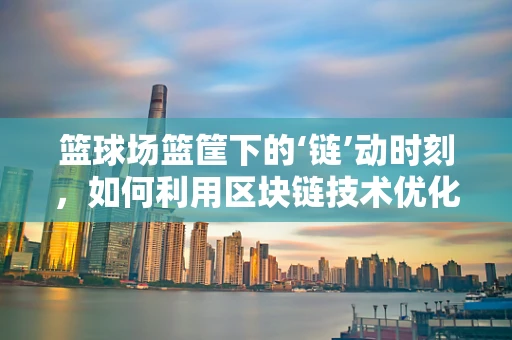 篮球场篮筐下的‘链’动时刻，如何利用区块链技术优化球场管理？