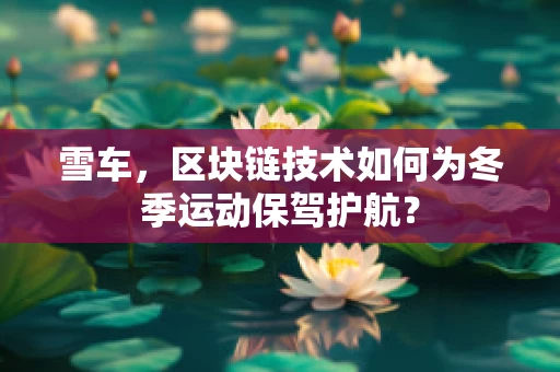雪车，区块链技术如何为冬季运动保驾护航？
