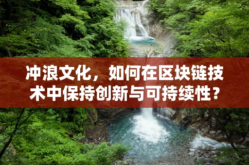 冲浪文化，如何在区块链技术中保持创新与可持续性？