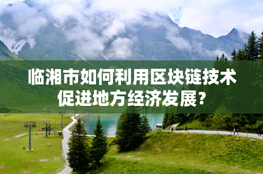 临湘市如何利用区块链技术促进地方经济发展？