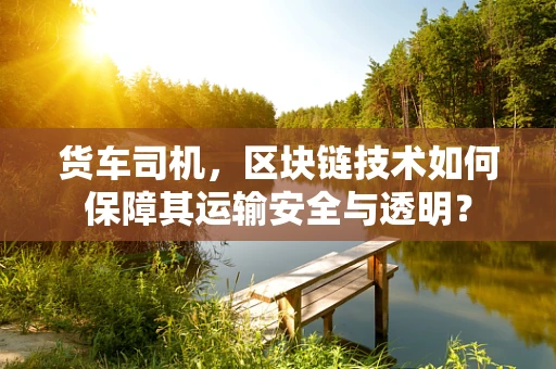 货车司机，区块链技术如何保障其运输安全与透明？