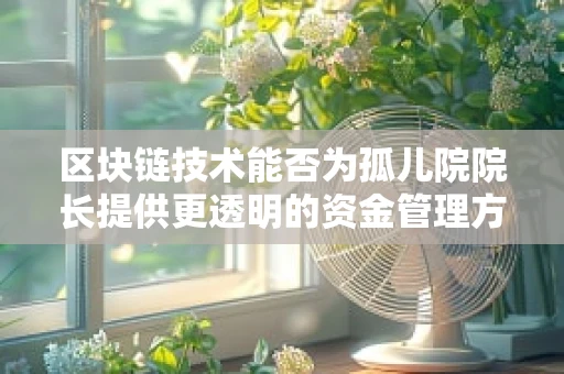 区块链技术能否为孤儿院院长提供更透明的资金管理方案？