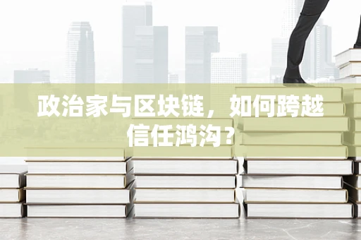 政治家与区块链，如何跨越信任鸿沟？