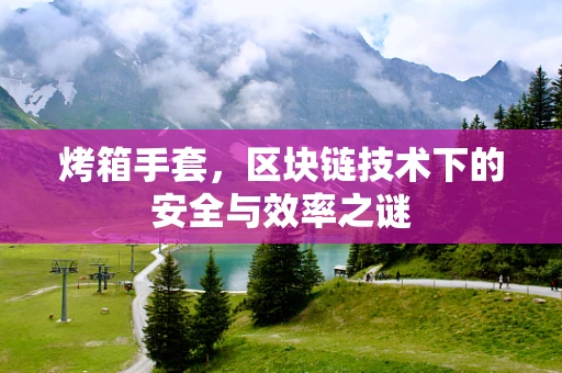 烤箱手套，区块链技术下的安全与效率之谜