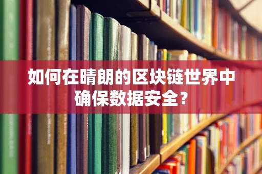 如何在晴朗的区块链世界中确保数据安全？