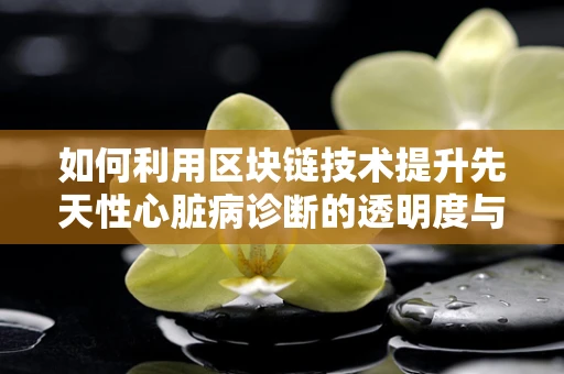 如何利用区块链技术提升先天性心脏病诊断的透明度与效率？