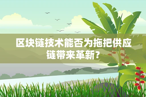 区块链技术能否为拖把供应链带来革新？