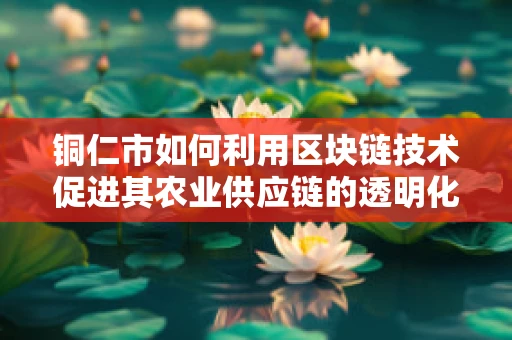 铜仁市如何利用区块链技术促进其农业供应链的透明化与效率提升？