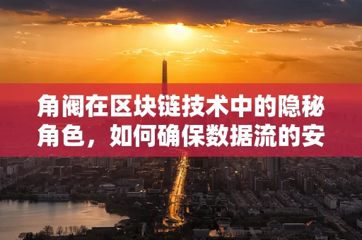 角阀在区块链技术中的隐秘角色，如何确保数据流的安全阀门？