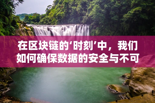 在区块链的‘时刻’中，我们如何确保数据的安全与不可篡改？