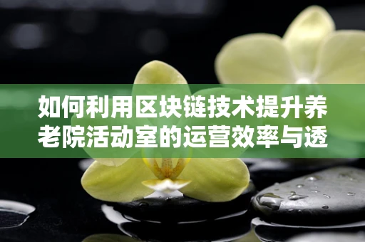 如何利用区块链技术提升养老院活动室的运营效率与透明度？