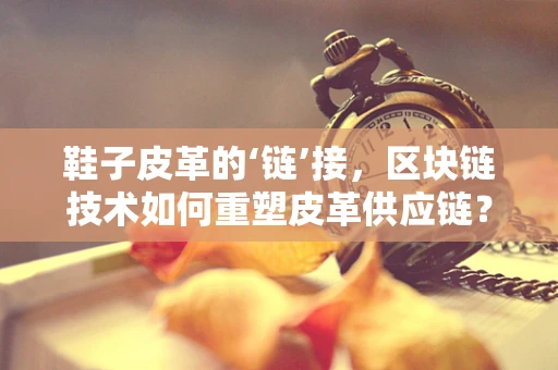 鞋子皮革的‘链’接，区块链技术如何重塑皮革供应链？