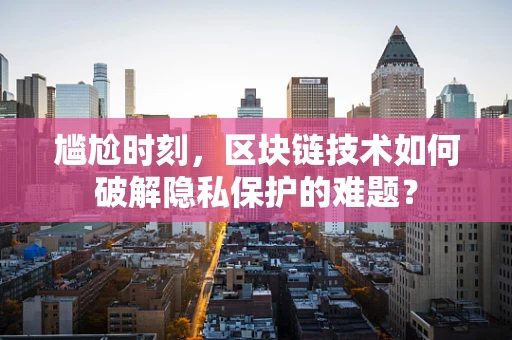 尴尬时刻，区块链技术如何破解隐私保护的难题？
