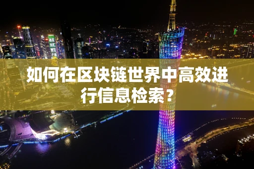 如何在区块链世界中高效进行信息检索？