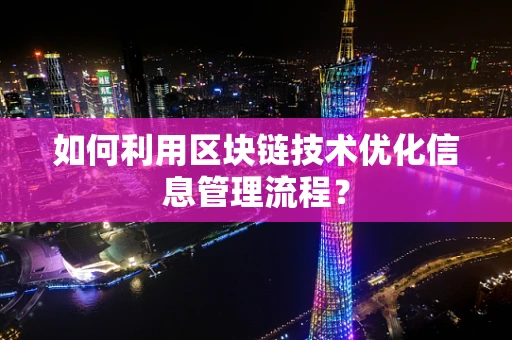 如何利用区块链技术优化信息管理流程？