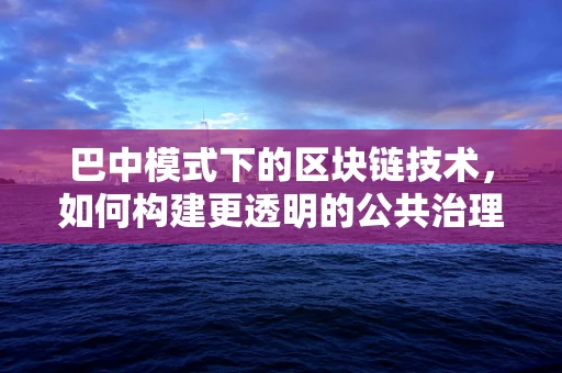 巴中模式下的区块链技术，如何构建更透明的公共治理？