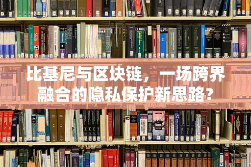 比基尼与区块链，一场跨界融合的隐私保护新思路？