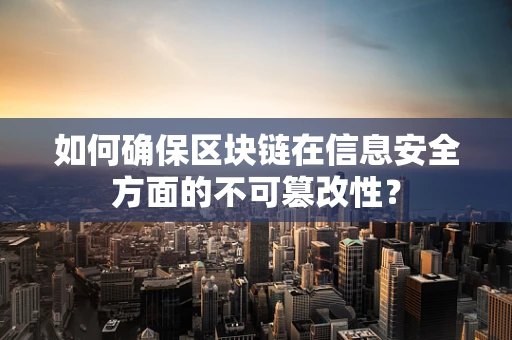 如何确保区块链在信息安全方面的不可篡改性？