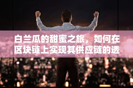 白兰瓜的甜蜜之旅，如何在区块链上实现其供应链的透明与安全？