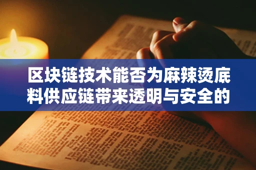 区块链技术能否为麻辣烫底料供应链带来透明与安全的革新？