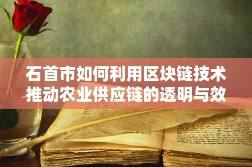 石首市如何利用区块链技术推动农业供应链的透明与效率？