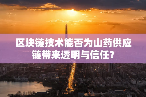 区块链技术能否为山药供应链带来透明与信任？