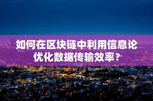 如何在区块链中利用信息论优化数据传输效率？