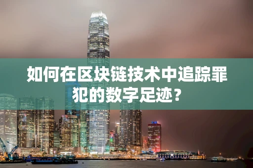 如何在区块链技术中追踪罪犯的数字足迹？
