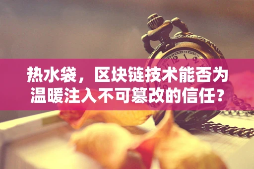 热水袋，区块链技术能否为温暖注入不可篡改的信任？