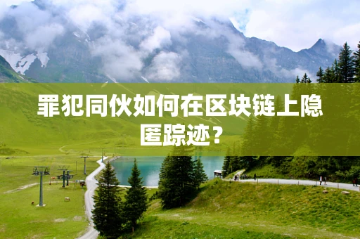 罪犯同伙如何在区块链上隐匿踪迹？