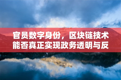 官员数字身份，区块链技术能否真正实现政务透明与反腐？