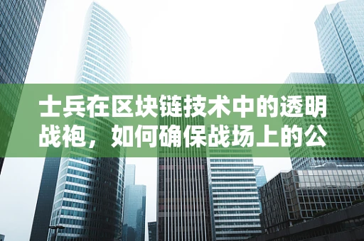 士兵在区块链技术中的透明战袍，如何确保战场上的公正与透明？