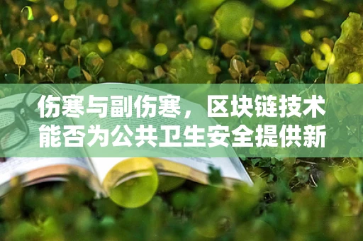 伤寒与副伤寒，区块链技术能否为公共卫生安全提供新防线？