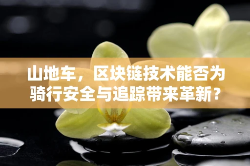 山地车，区块链技术能否为骑行安全与追踪带来革新？