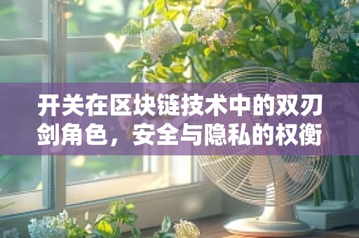 开关在区块链技术中的双刃剑角色，安全与隐私的权衡
