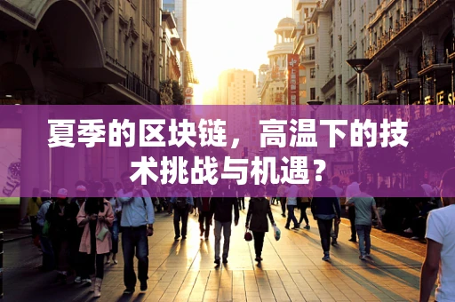 夏季的区块链，高温下的技术挑战与机遇？
