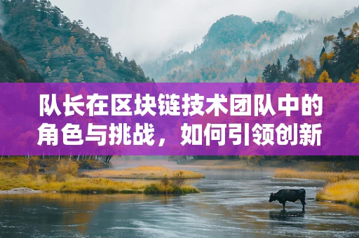 队长在区块链技术团队中的角色与挑战，如何引领创新与安全？