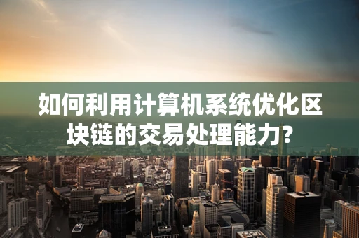 如何利用计算机系统优化区块链的交易处理能力？