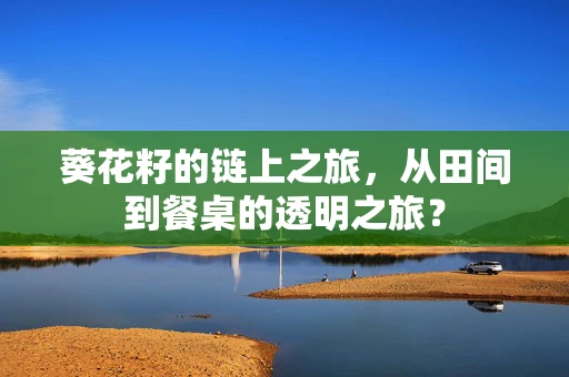 葵花籽的链上之旅，从田间到餐桌的透明之旅？