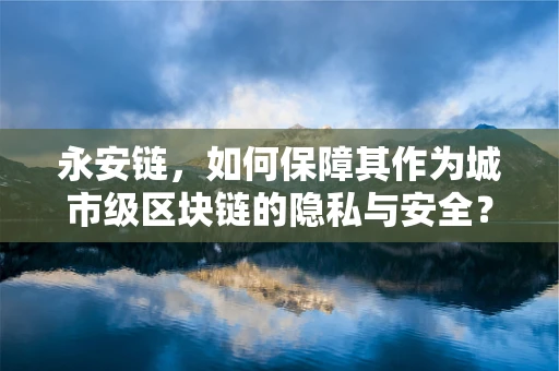 永安链，如何保障其作为城市级区块链的隐私与安全？
