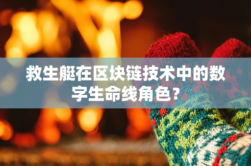 救生艇在区块链技术中的数字生命线角色？