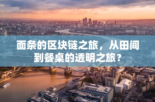 面条的区块链之旅，从田间到餐桌的透明之旅？