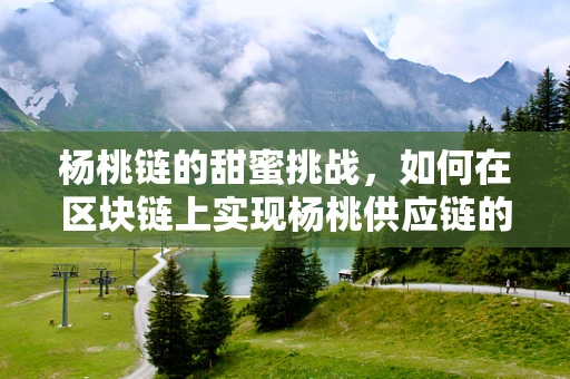 杨桃链的甜蜜挑战，如何在区块链上实现杨桃供应链的透明与安全？