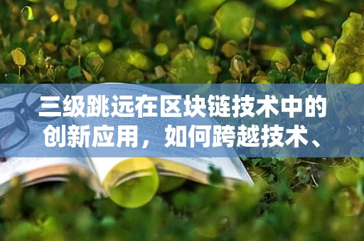 三级跳远在区块链技术中的创新应用，如何跨越技术、安全与效率的鸿沟？